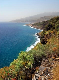 Picture of La Palma