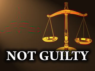Picture of Acquittal