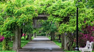 Picture of Brooklyn Botanic Garden
