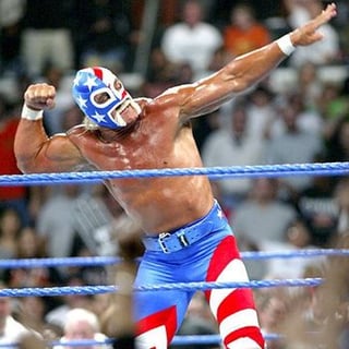 Picture of Hulk Hogan