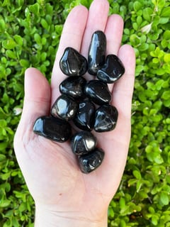 Picture of Onyx