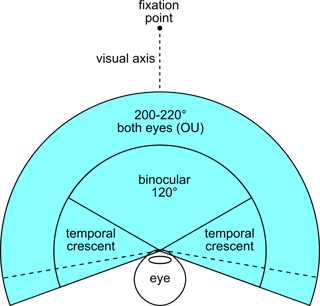 Picture of Field of view