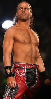 Picture of Shawn Michaels