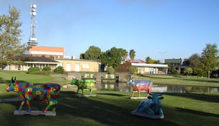 Picture of Shepparton