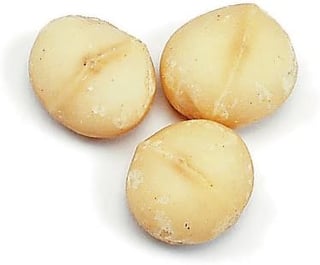 Picture of Macadamia