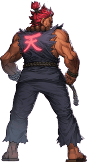 Picture of Akuma