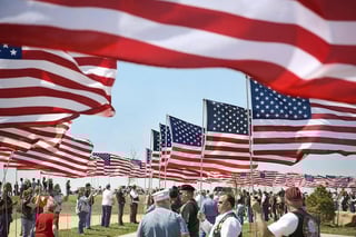 Picture of Flag Day