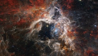 Picture of Tarantula Nebula