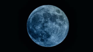 Picture of Blue moon
