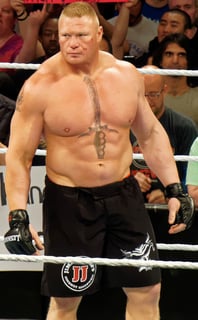 Picture of Brock Lesnar