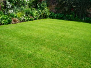 Picture of Lawn