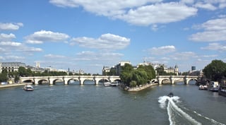 Picture of Pont Neuf