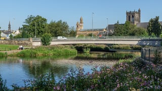 Picture of Paisley