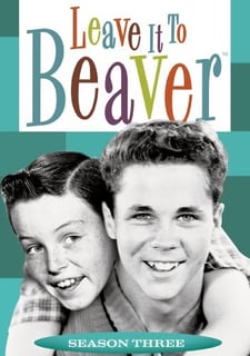 Picture of Leave It to Beaver