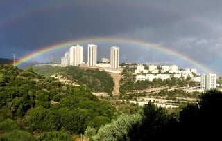Picture of Nesher