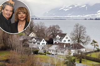 Picture of Tina Turner