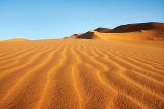 Picture of Sahara