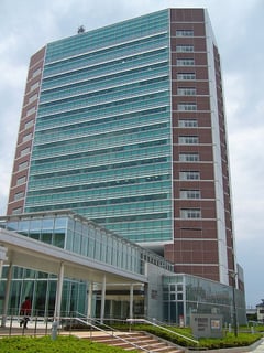 Picture of Suzuka