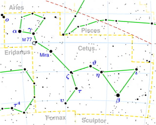 Picture of Cetus