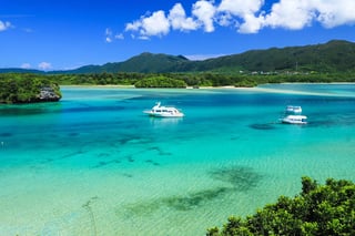 Picture of Ishigaki