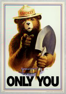 Picture of Smokey Bear
