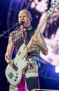 Picture of Flea