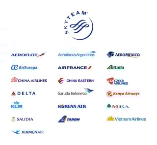 Picture of SkyTeam