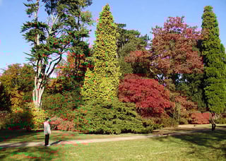 Picture of Arboretum