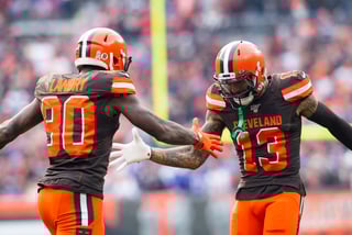 Picture of Cleveland Browns