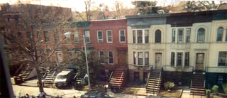 Picture of Crown Heights