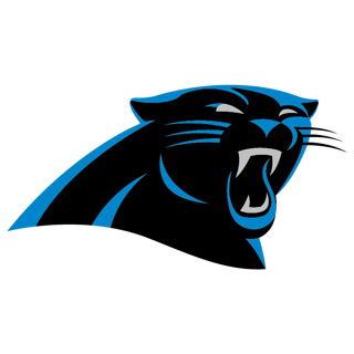 Picture of Carolina Panthers