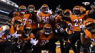 Picture of Cincinnati Bengals