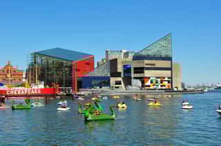 Picture of National Aquarium