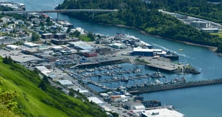 Picture of Kodiak
