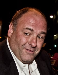 Picture of James Gandolfini