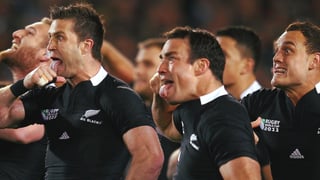 Picture of Haka