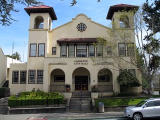 Picture of Larkspur