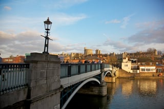 Picture of Windsor