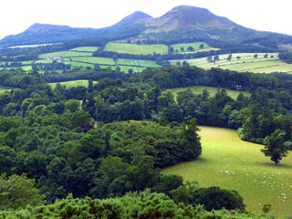 Picture of Trimontium