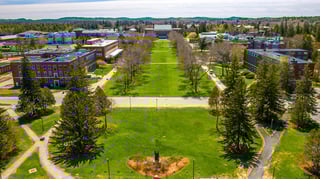 Picture of University of Maine