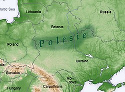 Picture of Polesia