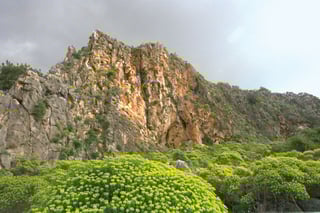 Picture of Mount Carmel
