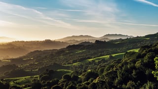 Picture of Tilden Regional Park