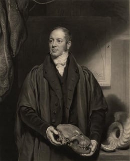 Picture of William Buckland