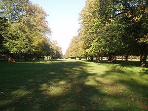 Picture of Bushy Park
