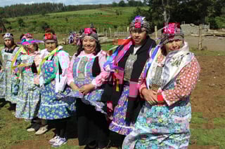Picture of Mapuche