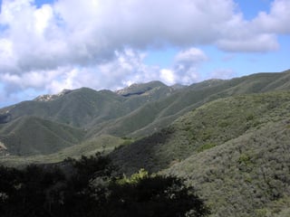 Picture of Chaparral