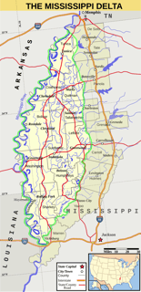 Picture of Mississippi Delta