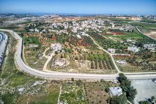 Picture of Kalandia