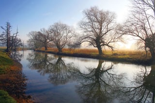 Picture of River Stour